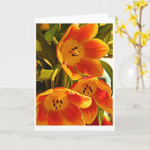 Carte Trois pavots - éclat brillamment (Fleur jaune)