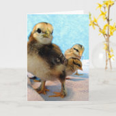 Carte Trois Petits Poussins (Fleur jaune)