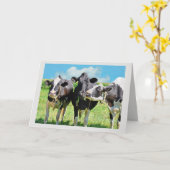Carte Trois vaches Holstein (Fleur jaune)