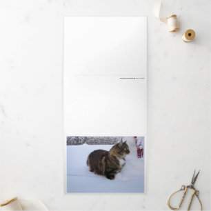 Carte Trois Volets chat des forêts norvégiennes dans la neige