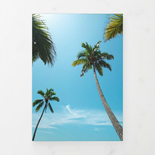 Carte Trois Volets palmiers de plage (Page de couverture)