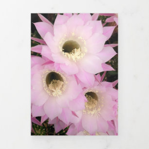 Carte Trois Volets Pétales de désert roses