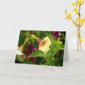 Carte Trompette d'or (Fleur jaune)