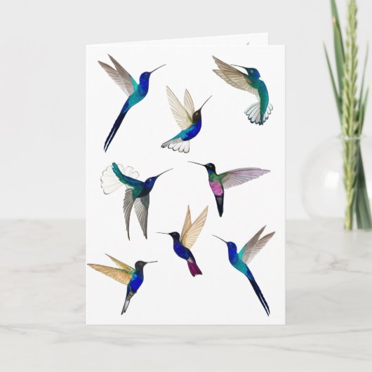 Carte Tropical Hummingbirds (Devant)