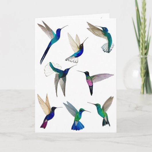 Carte Tropical Hummingbirds (Devant)
