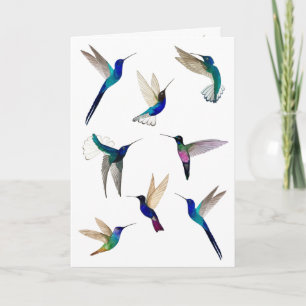 Carte Tropical Hummingbirds