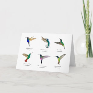 Carte Tropical Hummingbirds