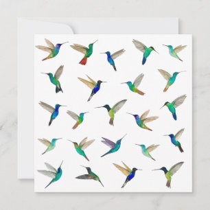 Carte Tropical Hummingbirds pour toutes les occasi