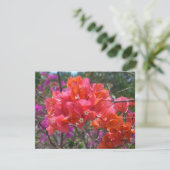 Carte Tropical Pink Bougainvillea Island Floral (Debout devant)
