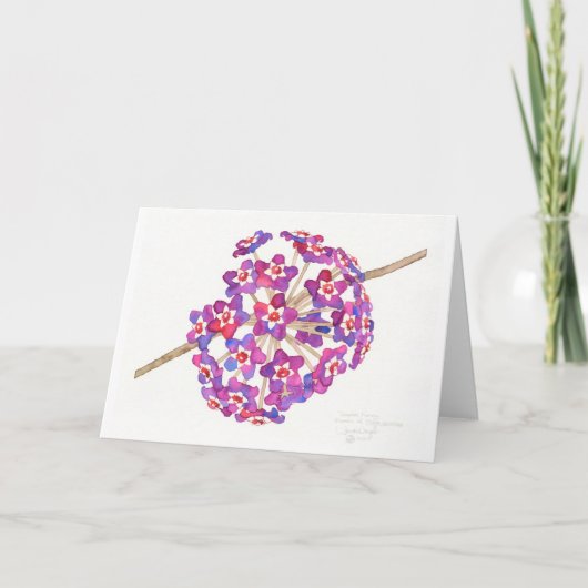 Carte tropicale de miel (Devant)