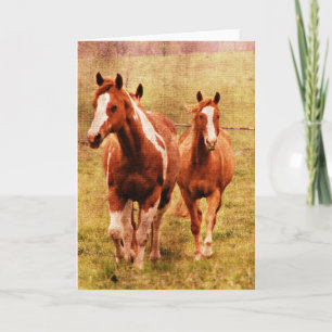 Carte Trot de chevaux