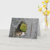 Carte Trou du noeud (Fleur jaune)