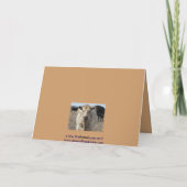 Carte Troupeau de bovins pour l'anniversaire de mariage  (Dos)