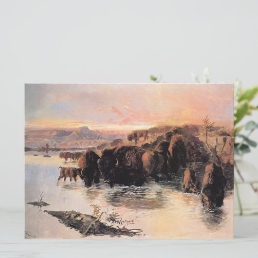 Carte Troupeau de buffles (Debout devant)