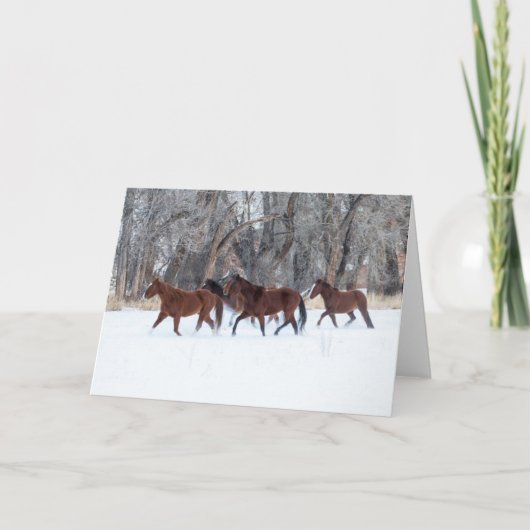 Carte Troupeau de chevaux qui courent en hiver neige (Devant)