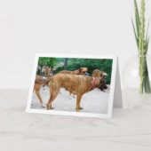 Carte Troupeau de Chiens (Devant)