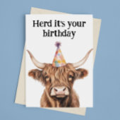 Carte Troupeau de vache Highland C'est ton anniversaire