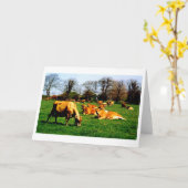 Carte Troupeau de vaches Jersey (Fleur jaune)