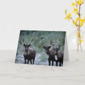 Carte Troupeau de wapitis | Mt. Baring, Washington (Fleur jaune)