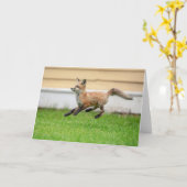 Carte Trousse Red Fox dans la vallée de l'Hudson (Fleur jaune)