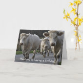 Carte Trouve que tu fasses un anniversaire ! (Fleur jaune)