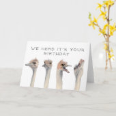 Carte Trouve Son Anniversaire | Oiseaux d'autruche (Fleur jaune)