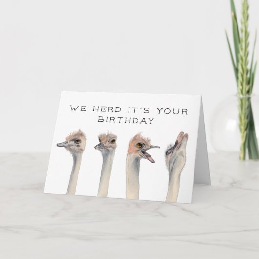 Carte Trouve Son Anniversaire | Oiseaux d'autruche (Devant)