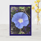 Carte True Blue Morning Glory (Fleur jaune)