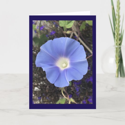Carte True Blue Morning Glory (Devant)