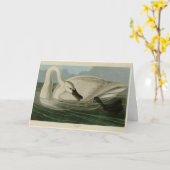 Carte Trumpeter Swan (Fleur jaune)