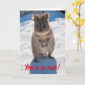 Carte Tu es si mignon Quokka sur la plage de la Saint-Va (Fleur jaune)