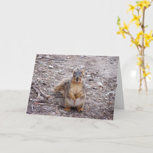 Carte Tu es une noix (Fleur jaune)