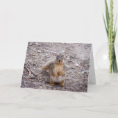 Carte Tu es une noix (Devant)