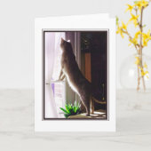 Carte Tu me manque ! (Fleur jaune)