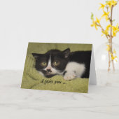 Carte Tu me manque, chaton timide de smoking (Fleur jaune)