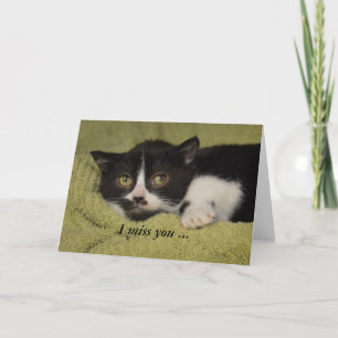 Carte Tu me manque, chaton timide de smoking
