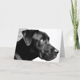 Carte Tu me manque homme !