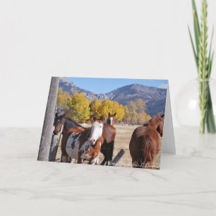 Carte Tu Me Manques Ami Chevaux Art Occidental Montagne