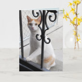 Carte Tu Me Manques Chat (Fleur jaune)