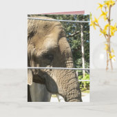 Carte Tu me manques, déjeunons, mon éléphant triste (Fleur jaune)