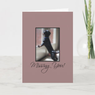 Carte Tu me manques petit chien regardant par la fenêtre