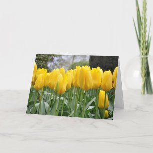 Carte Tulières à ressort jaune