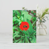 Carte Tuliforme rouge (Debout devant)