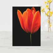 Carte Tulip (Fleur jaune)
