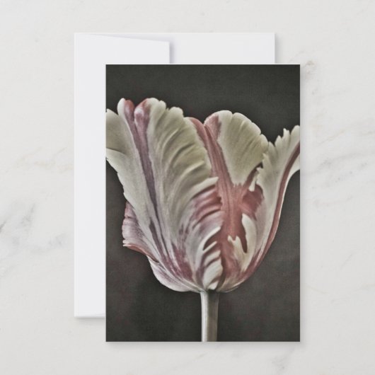 Carte Tulip (Devant)