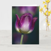 Carte Tulip01 (Fleur jaune)
