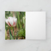 Carte Tulip Delight (Intérieur)