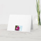 Carte Tulip-Drops, Joyeux anniversaire (Dos)