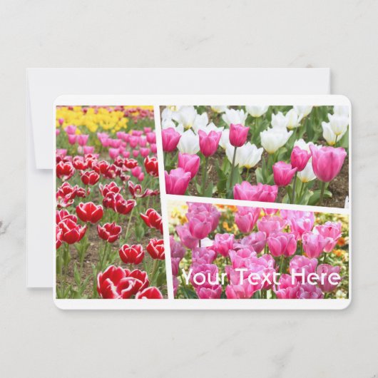 Carte Tulip [Flat Card] (Devant)