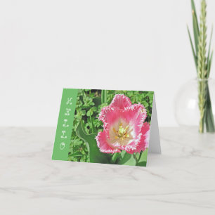 CARTE "TULIP ROSE ET BLANC AVEC FRINGE / HELLO"